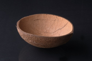 coconut-ice-cream-cup-500x500